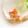Ecological fish tanks, goldfish tanks, wall-mounted aquariums, wall-mounted fish tanks, creative living room wall decoration hangers Item Picture